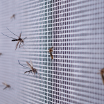 Come proteggersi dalle zanzare